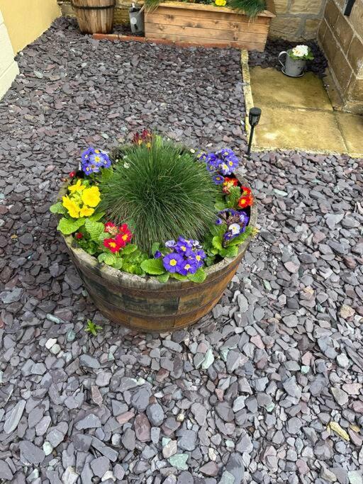 Quaint 1 Bedroom Cottage In Pudsey, Leeds Exteriör bild